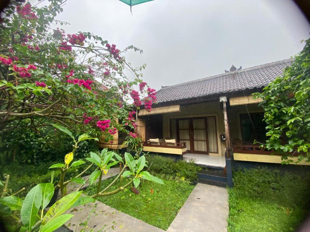 Pomelo Guest House Ubud Rum bild